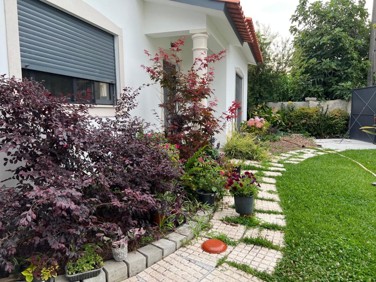 Vila Beautiful Little Country House Carvide Exteriér fotografie